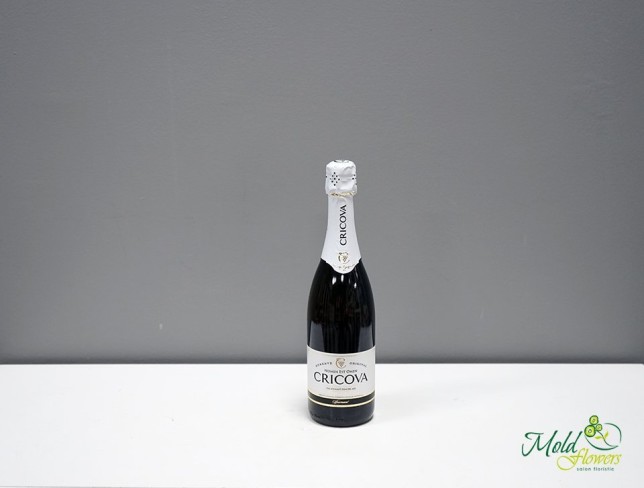 Шампанское Cricova полусухое 0,75 л Фото